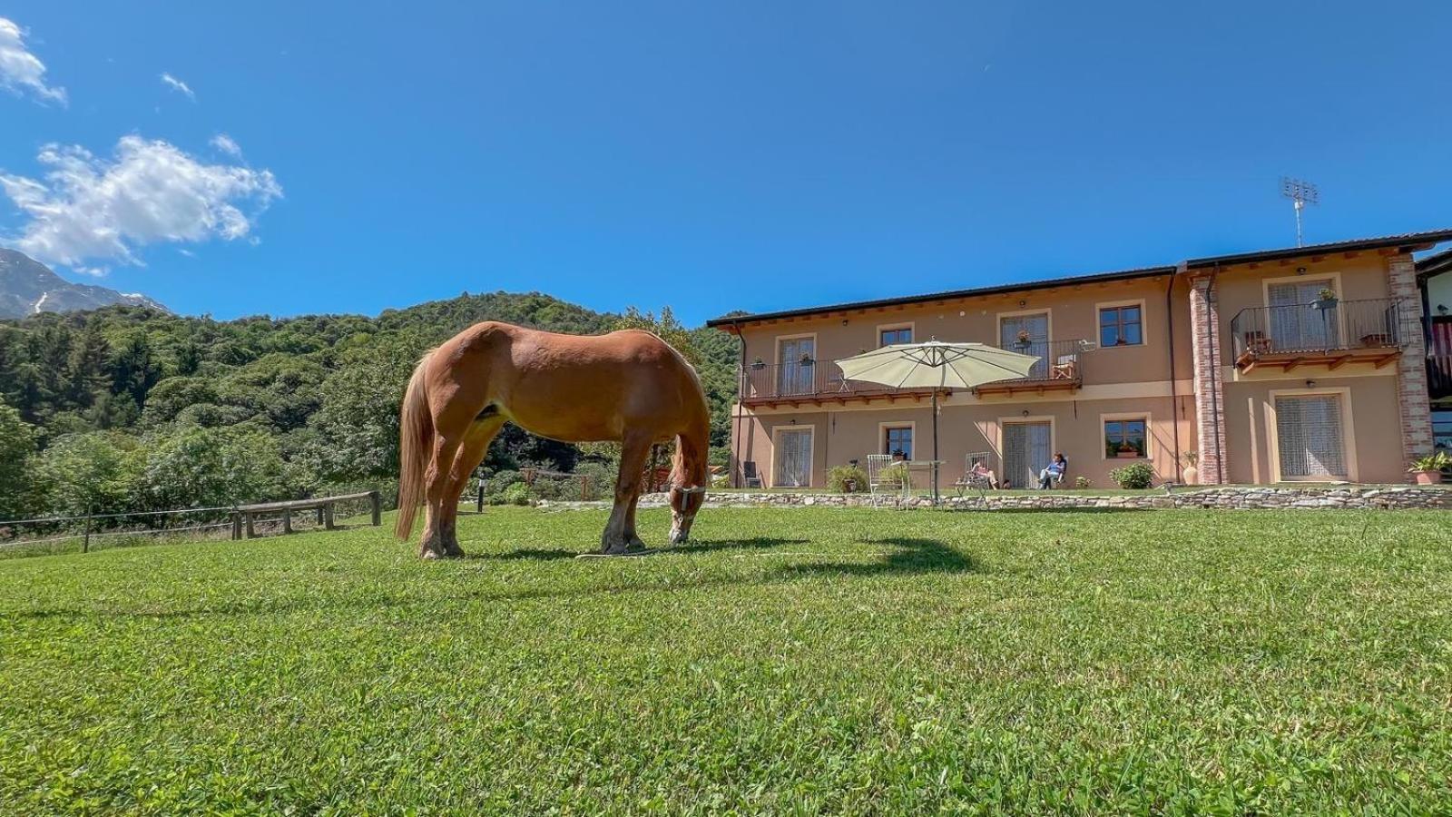 Appartement Ranch Enbruca à Boves Extérieur photo